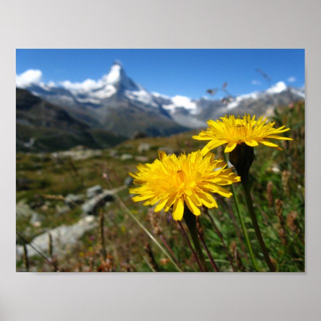 Valais Alps Swiss Poster (Front)