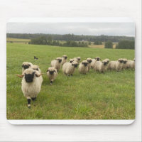 Valais Black Nose Sheep mouse pad