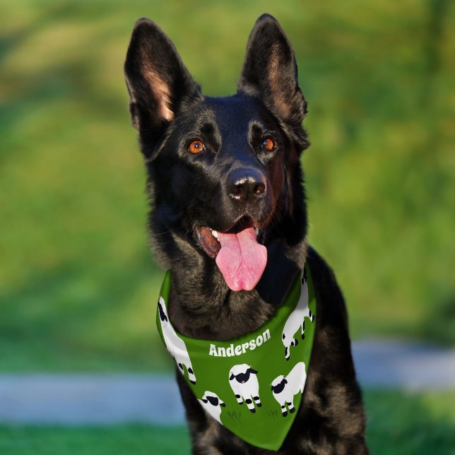 Valais Blacknose Sheep Personalized Pet Bandana Collar (Dog)
