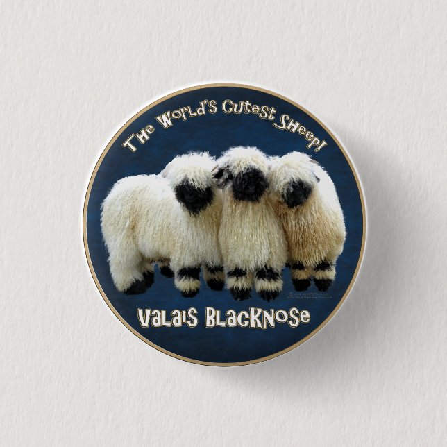 Valais Blacknose - The World's Cutest Sheep! Button (Front)