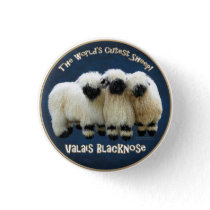 Valais Blacknose - The World's Cutest Sheep! Button