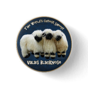 Valais Blacknose - The World's Cutest Sheep! Button