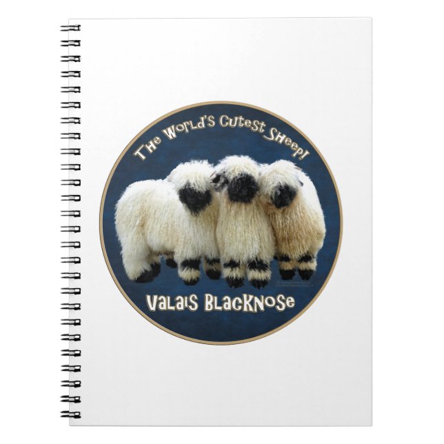 Valais Blacknose - The World's Cutest Sheep! Notebook (Front)