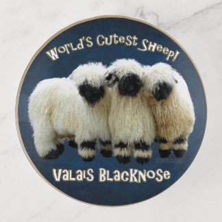 Valais Blacknose - World's Cutest --Trinket Tray