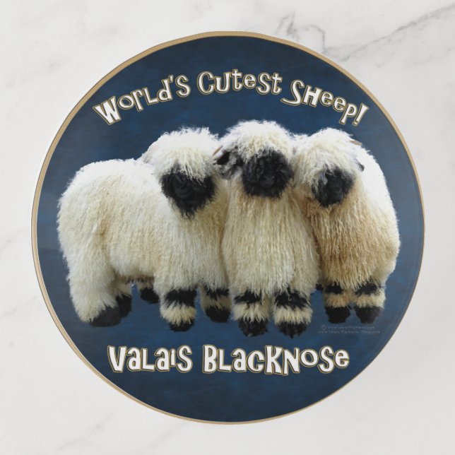 Valais Blacknose - World's Cutest --Trinket Tray (Front)