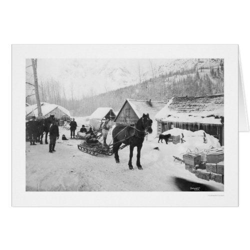 Valdez Trail Horses Alaska 1912