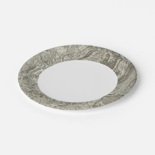 Valence Paper Plates