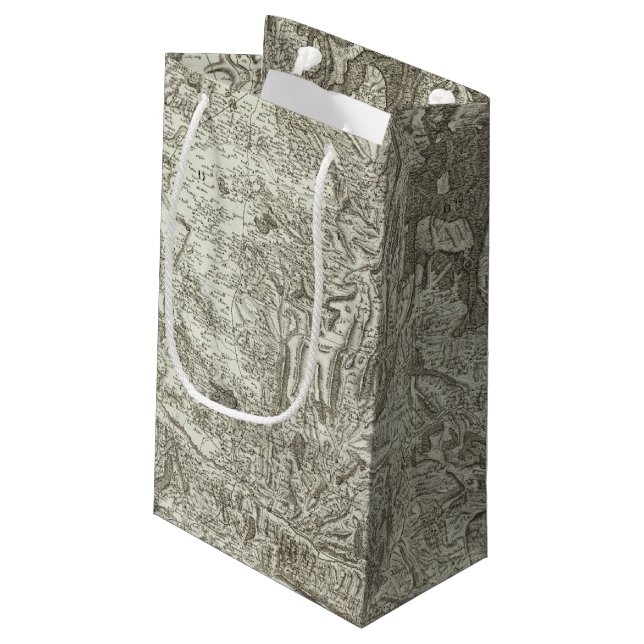 Valence Small Gift Bag (Back Angled)