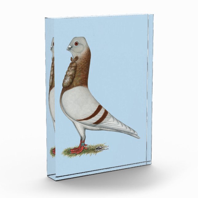 Valencian Figurita Pigeon Award (Left)