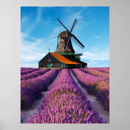 Valensole Lavender Fields Provence France Poster
