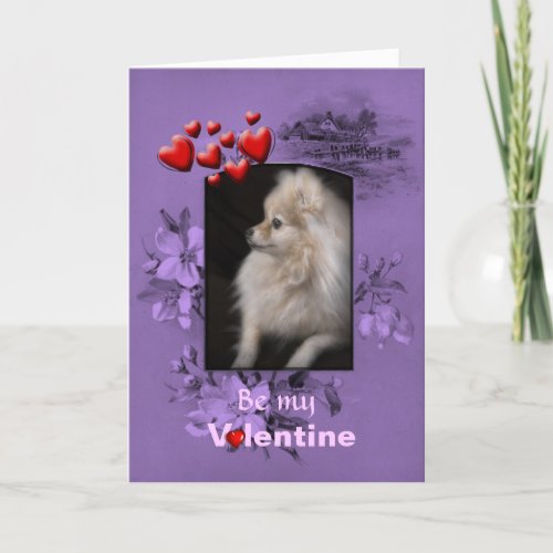 Valentine Adorably Cute Pomeranian Puppy Holiday Card