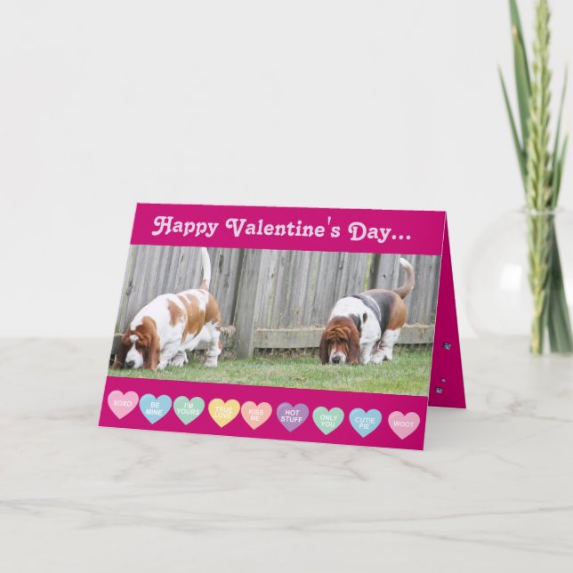Valentine - Bassets on Funny Valentine's Day Card (Front)