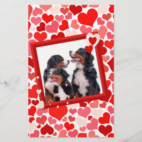 Valentine Bernese Mountain dog Heart