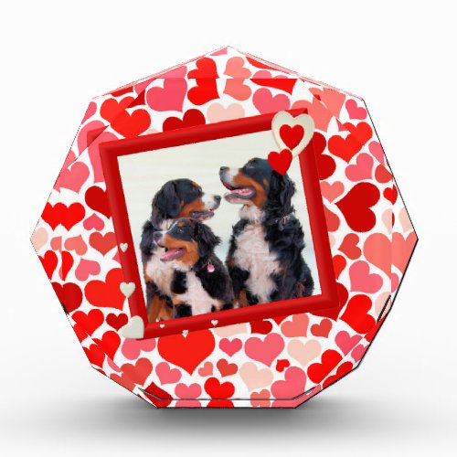 Valentine Bernese Mountain dog Heart Award