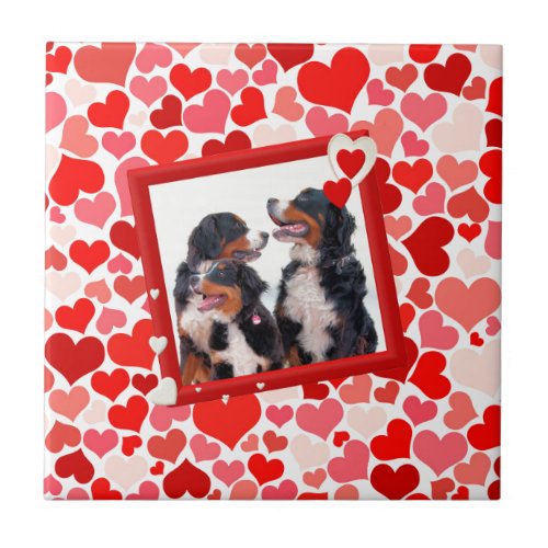 Valentine Bernese Mountain dog Heart Ceramic Tile