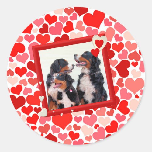 Valentine Bernese Mountain dog Heart Classic Round Sticker