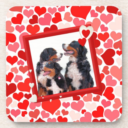 Valentine Bernese Mountain dog Heart Drink Coaster