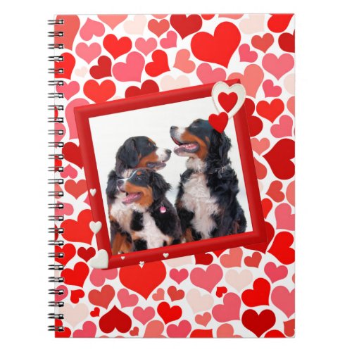 Valentine Bernese Mountain dog Heart Notebook