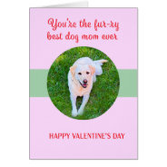 Valentine Best Dog Mom Love Cute at Zazzle