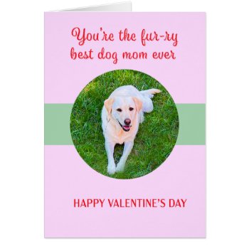 Valentine Best Dog Mom Love Cute by ingeinc at Zazzle