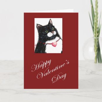 Valentine Birthday Cat Holiday Card by glorykmurphy at Zazzle