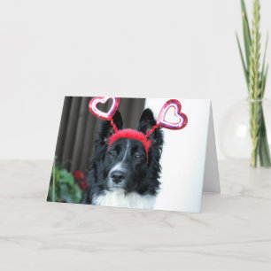 Valentine Border Collie Greeting Card