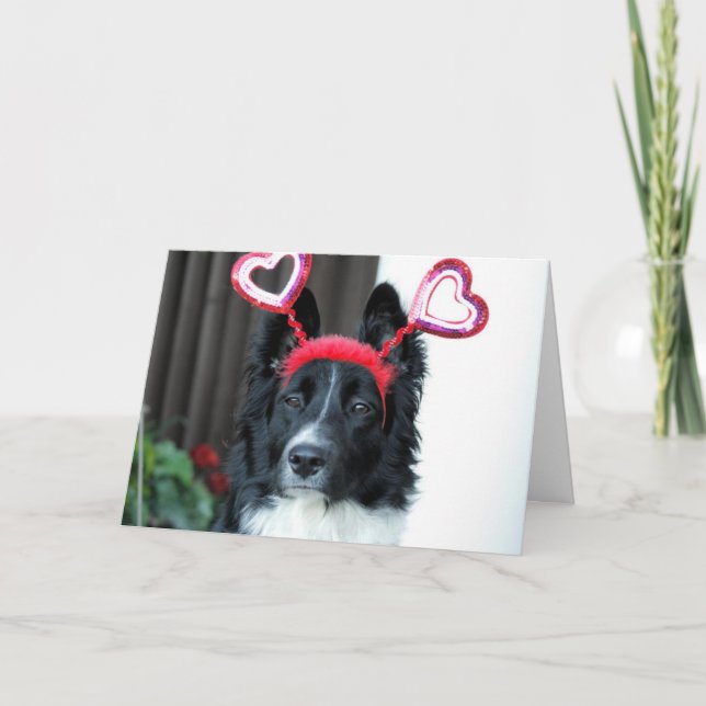 Valentine Border Collie Greeting Card (Front)