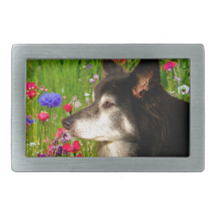 Valentine Border Collie with beautiful flowers Belt Buckle