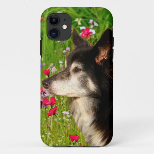 Valentine Border Collie with beautiful flowers iPhone 11 Case