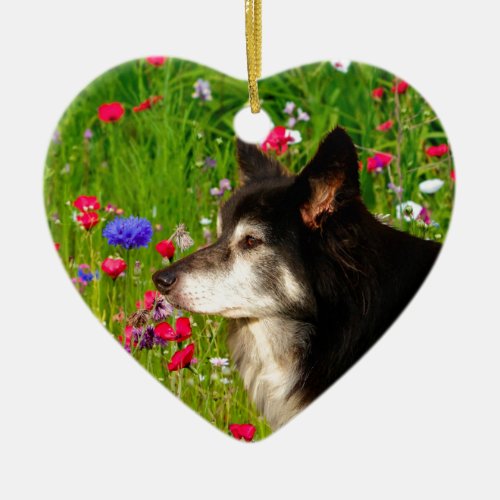 Valentine Border Collie with beautiful flowers Ceramic Ornament