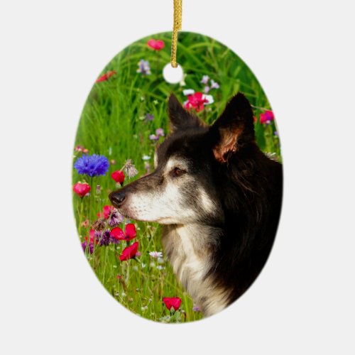 Valentine Border Collie with beautiful flowers Ceramic Ornament