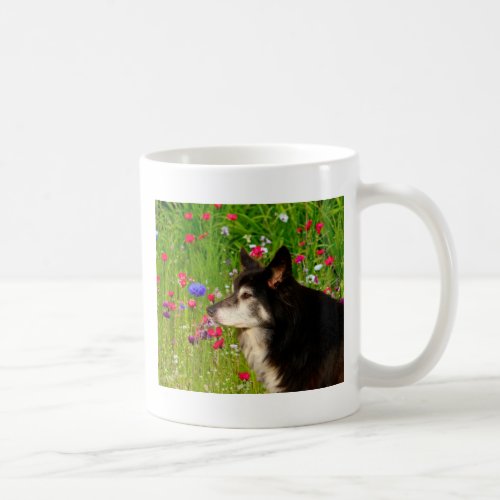 Valentine Border Collie with beautiful flowers Coffee Mug