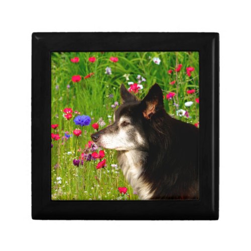 Valentine Border Collie with beautiful flowers Jewelry Box