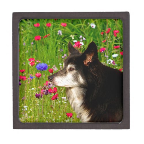 Valentine Border Collie with beautiful flowers Keepsake Box