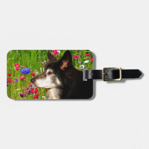 Valentine Border Collie with beautiful flowers Luggage Tag