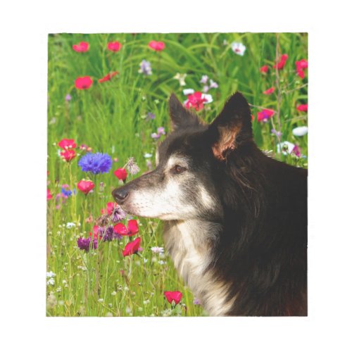 Valentine Border Collie with beautiful flowers Notepad