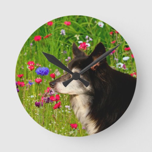 Valentine Border Collie with beautiful flowers Round Clock