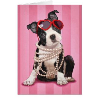 Valentine Boston Terrier Greeting Card