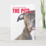 Valentine Card For Dog Lovers at Zazzle