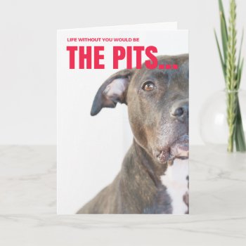 Valentine Card For Dog Lovers by Crude_Cards at Zazzle