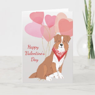 Valentine Card From Brown Australian Shepherd Dog