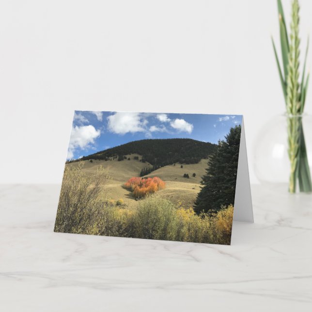 Valentine Card with Heart Shaped Aspens (Front)