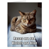 Valentine Cat funny poem BIG (Front)