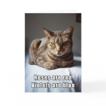 Valentine Cat funny poem Holiday Card Valentine Cat funny poem Holiday Card
