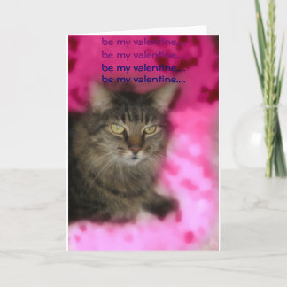 valentine cat holiday card