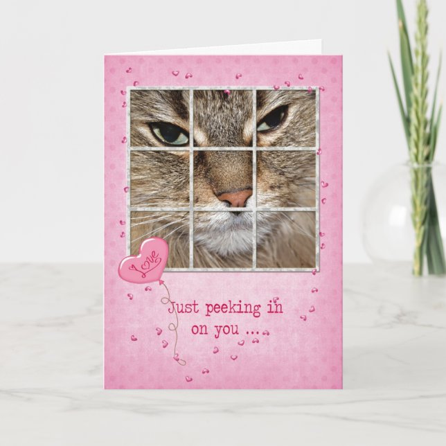 Valentine Cat in Window Holiday Card (Front)