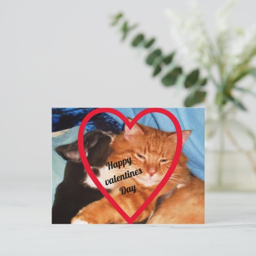 VALENTINE CAT LOVE  HOLIDAY POSTCARD