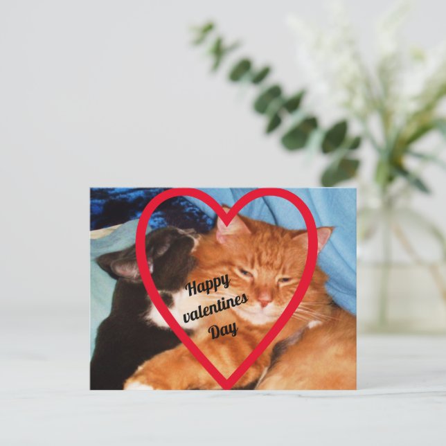 VALENTINE CAT LOVE  HOLIDAY POSTCARD (Standing Front)