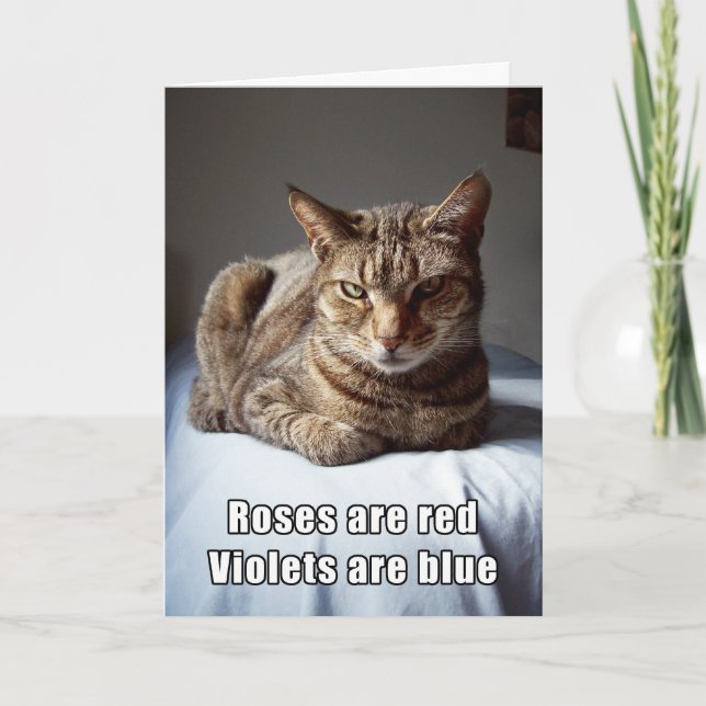 Valentine Cat poem Holiday Card (Front)