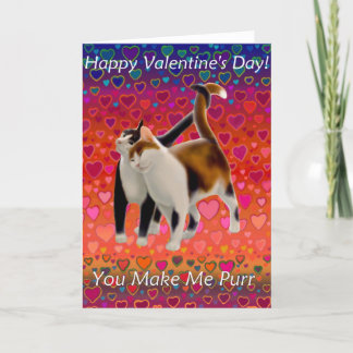 Valentine Cats Card